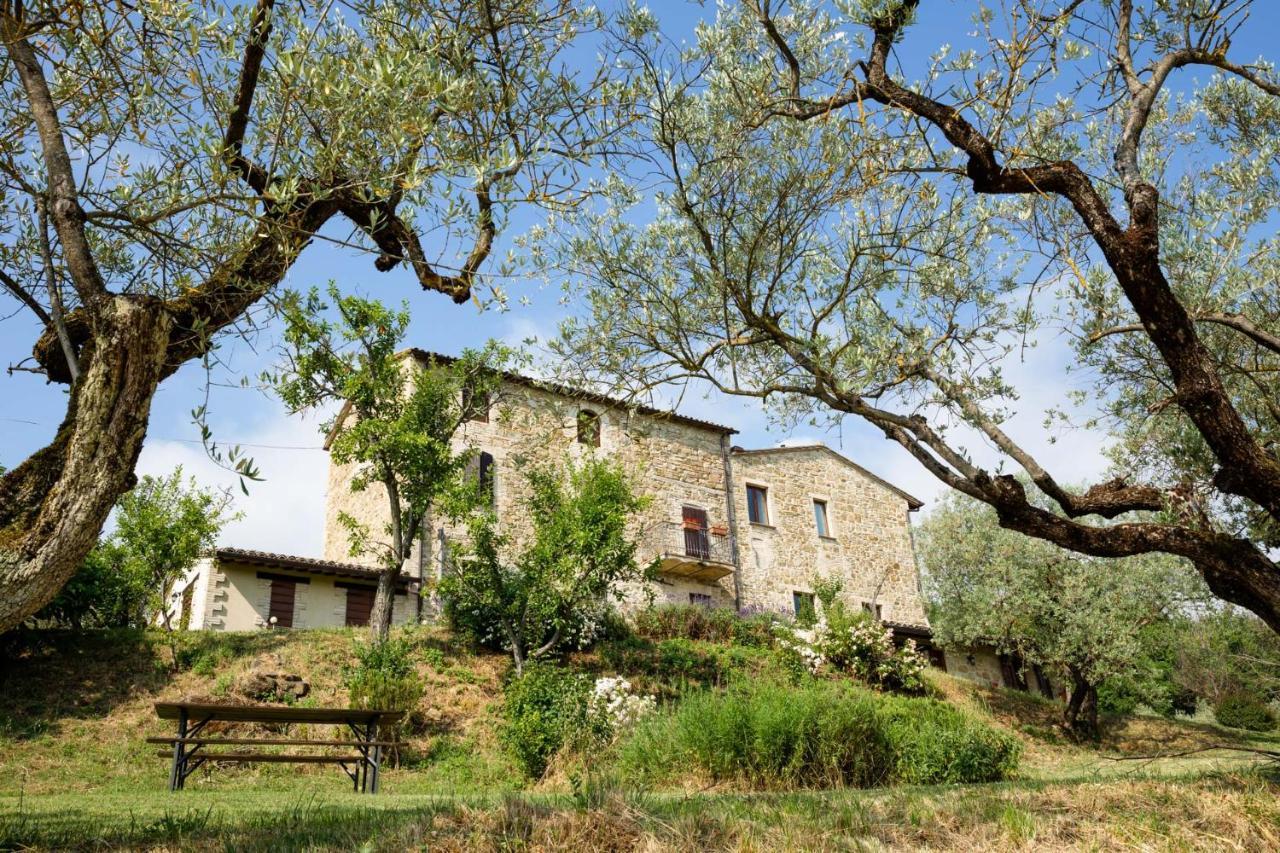 Villa Colle Di Rocco Limigiano Zewnętrze zdjęcie
