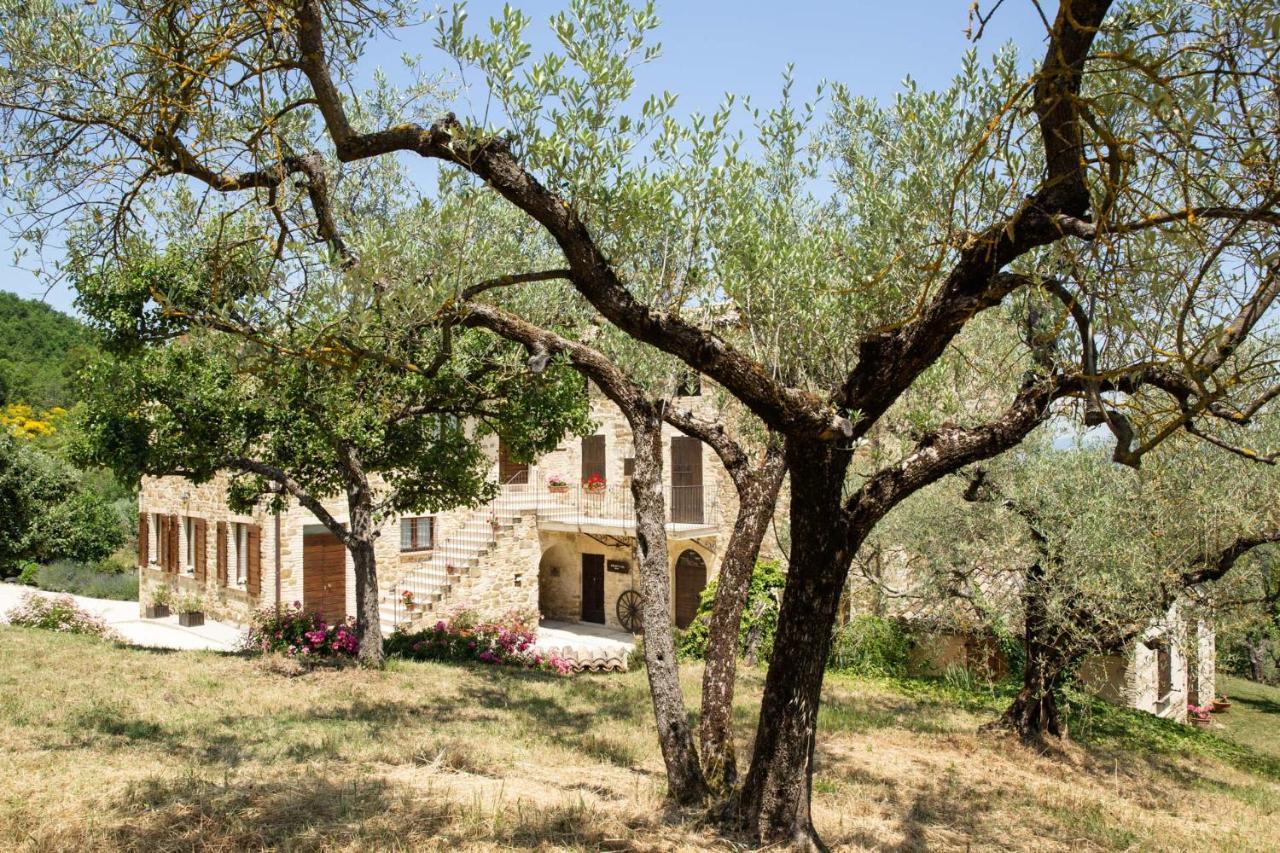 Villa Colle Di Rocco Limigiano Zewnętrze zdjęcie