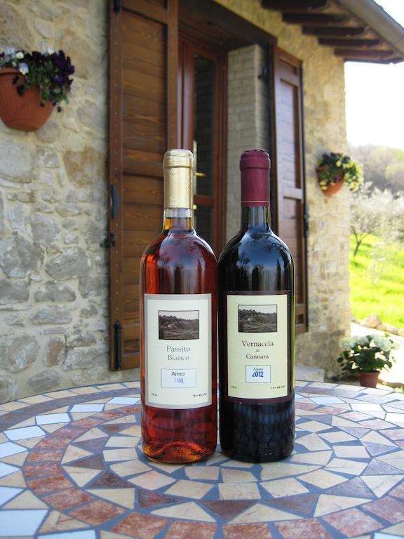 Villa Colle Di Rocco Limigiano Zewnętrze zdjęcie